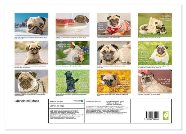 Produktbild: L&auml;cheln mit Mops (Wandkalender 2026 DIN A3 quer), CALVENDO Monatskalender