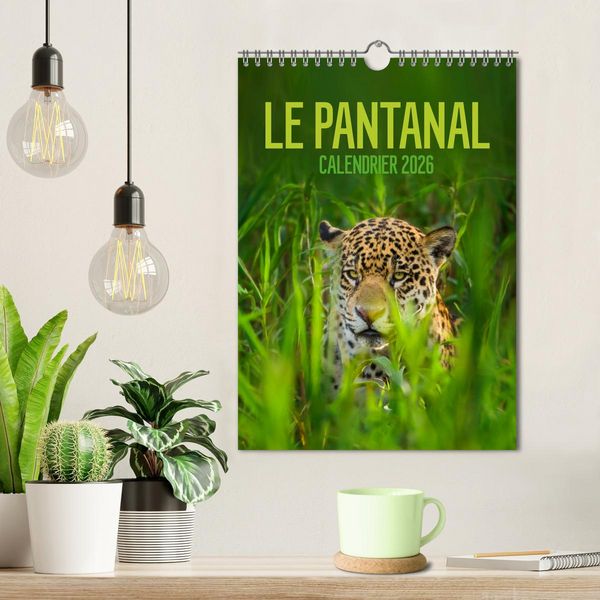 Produktbild: Le Pantanal (Calendrier mural 2026 DIN A4 horizontal), CALVENDO calendrier mensuel