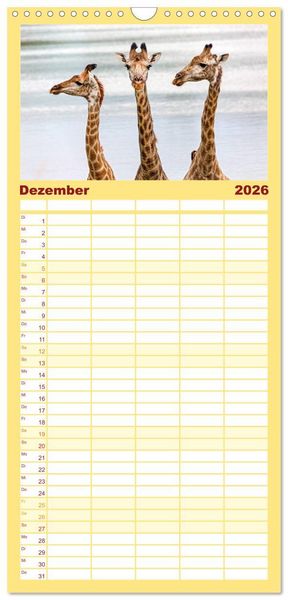 Produktbild: Familienplaner 2026 - Afrikas Tierwelt: Giraffen mit 5 Spalten (Wandkalender, 21 x 45 cm) CALVENDO