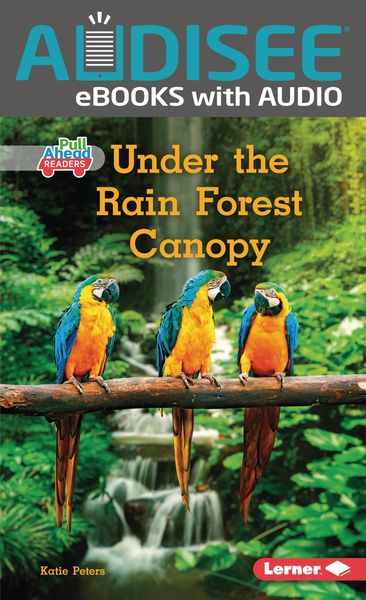 Produktbild: Under the Rain Forest Canopy