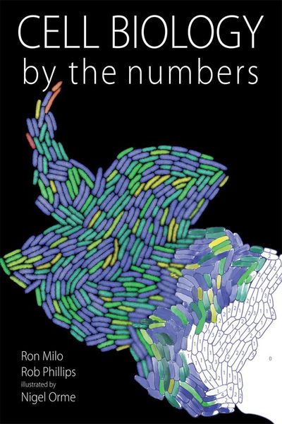 Produktbild: Cell Biology by the Numbers