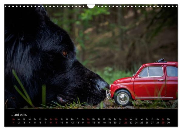 Produktbild: Mit der Knutschkugel auf Reisen (Wandkalender 2025 DIN A3 quer), CALVENDO Monatskalender