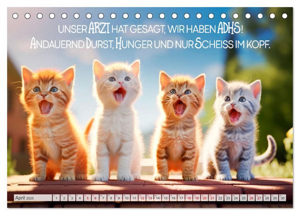 'Süße Katzen und coole Sprüche (Tischkalender 2025 DIN A5 quer