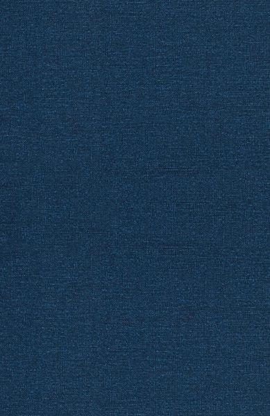 Produktbild: The Mentor's Guide