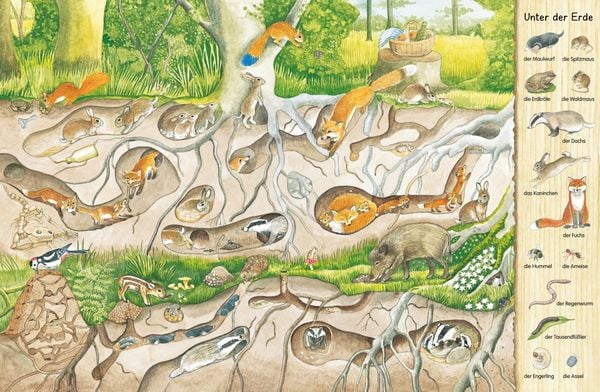 Produktbild: Mein erstes Wimmelbuch: Im Wald