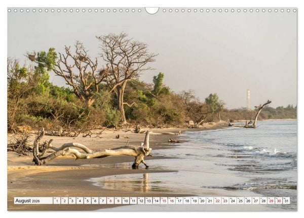 Produktbild: Traumstr&auml;nde in Gambia (Wandkalender 2026 DIN A3 quer), CALVENDO Monatskalender