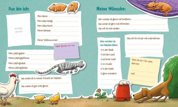Produktbild: Die Gr&uuml;nen Piraten &ndash; Meine Freunde