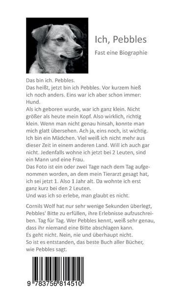 Produktbild: Ich, Pebbles