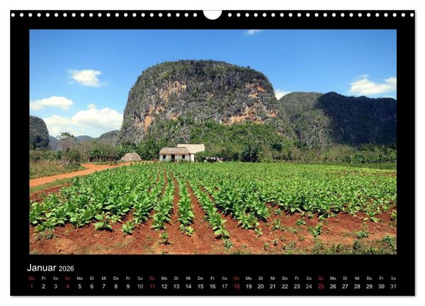 Produktbild: Viva Cuba! (Wandkalender 2026 DIN A3 quer), CALVENDO Monatskalender