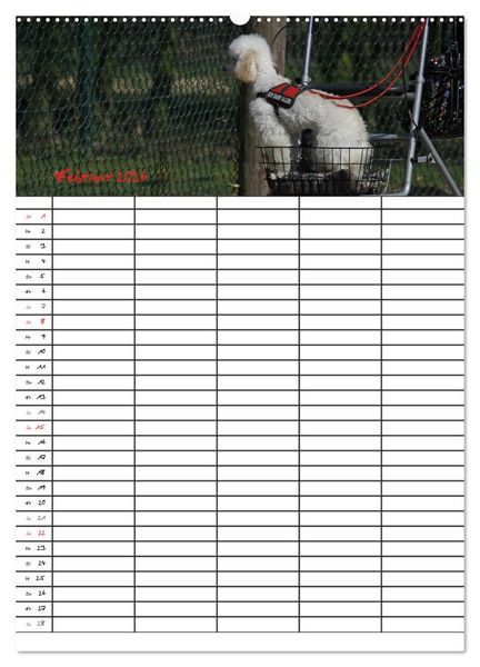Produktbild: Der Pudel-Familienplaner (Wandkalender 2026 DIN A2 hoch), CALVENDO Monatskalender