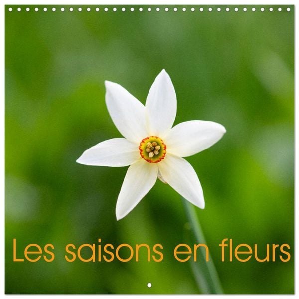 Produktbild: Les saisons en fleurs (Calendrier mural carr&eacute; 2026 30x30 cm) Calendrier double avec une page pour vos prises de notes