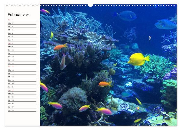Produktbild: Paradiese. Karibik und S&uuml;dsee &uuml;ber und unter Wasser (hochwertiger Premium Wandkalender 2026 DIN A2 quer), Kunstdruck in Hochglanz