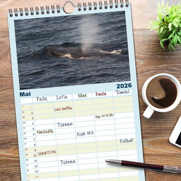 Produktbild: Familienplaner 2026 - Die Wale von Andenes mit 5 Spalten (Wandkalender, 21 x 45 cm) CALVENDO