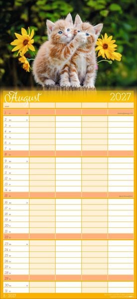 Produktbild: Cool Cats Familienplaner 2027