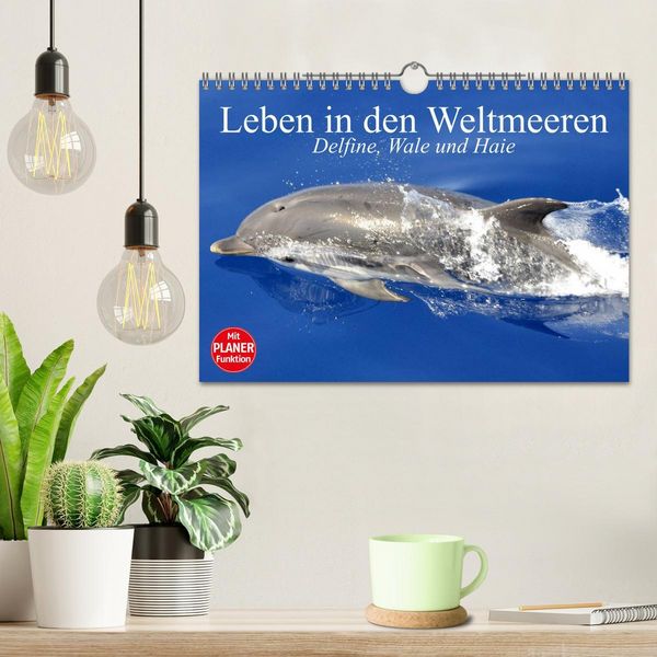 Produktbild: Leben in den Weltmeeren. Delfine, Wale und Haie (Wandkalender 2026 DIN A4 quer), CALVENDO Monatskalender