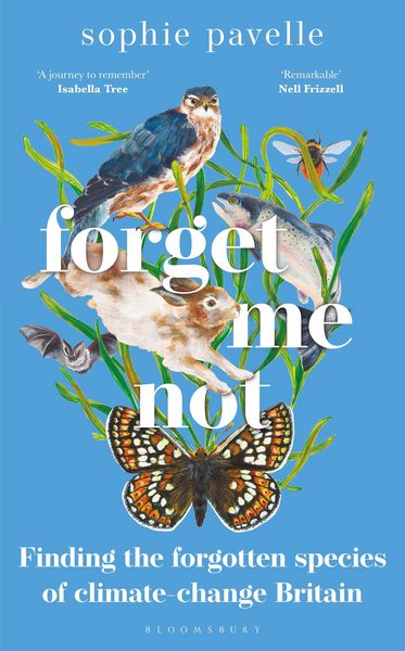 Produktbild: Forget Me Not