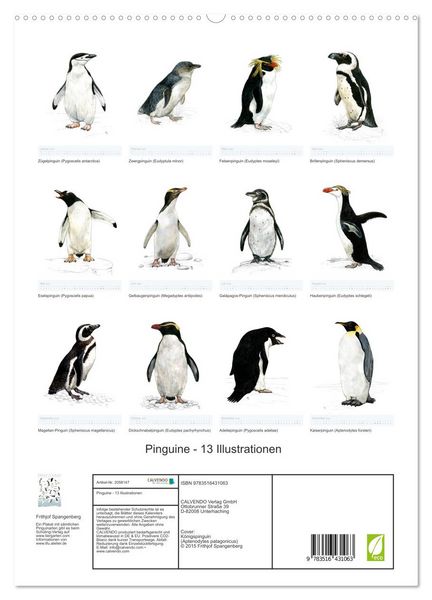 Produktbild: Pinguine - 13 Illustrationen (hochwertiger Premium Wandkalender 2026 DIN A2 hoch), Kunstdruck in Hochglanz