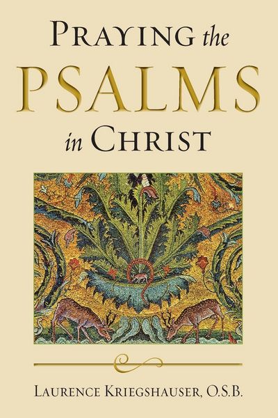 Produktbild: Praying the Psalms in Christ