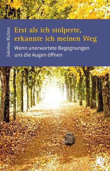 Produktbild: Erst als ich stolperte, erkannte ich meinen Weg