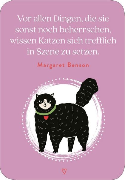 Produktbild: MIEZNachrichten f&uuml;r jede Lebenslage