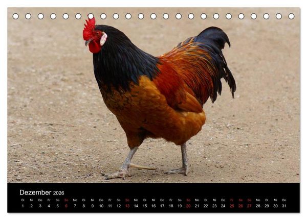 Produktbild: Die Welt der H&uuml;hner (Tischkalender 2026 DIN A5 quer), CALVENDO Monatskalender