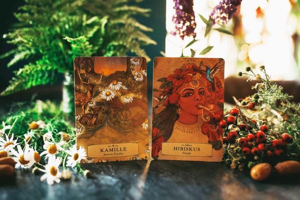 Herbal Astrology Orakel: 55 Karten mit Botschaften und Anleitungen