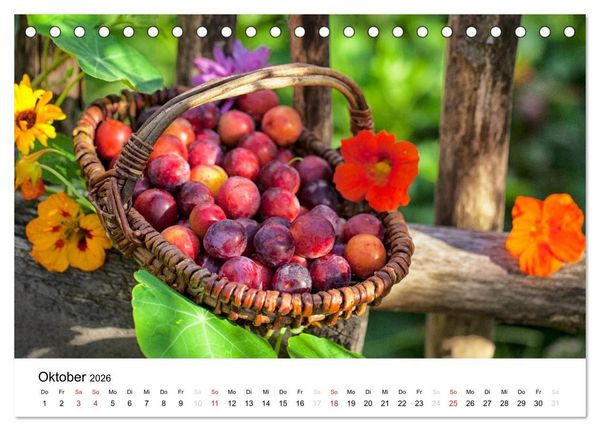 Produktbild: Mein Jahr im Landhausgarten (Tischkalender 2026 DIN A5 quer), CALVENDO Monatskalender