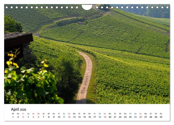 Produktbild: W&uuml;rttemberger Wein 2026 (Wandkalender 2026 DIN A4 quer), CALVENDO Monatskalender