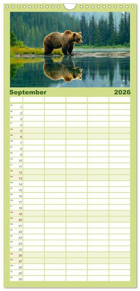 Produktbild: Familienplaner 2026 - Wildes B&auml;renland mit 5 Spalten (Wandkalender, 21 x 45 cm) CALVENDO