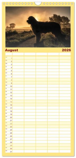 Produktbild: Familienplaner 2026 - Der Briard - Ein echter Charmeur mit 5 Spalten (Wandkalender, 21 x 45 cm) CALVENDO