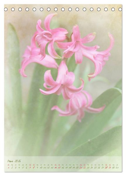 Produktbild: Vintage Flowers (Tischkalender 2026 DIN A5 hoch), CALVENDO Monatskalender
