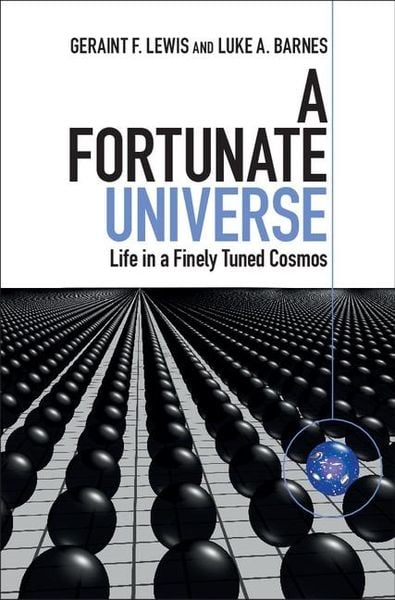 Produktbild: Fortunate Universe
