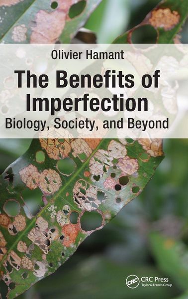 Produktbild: The Benefits of Imperfection