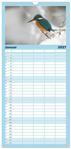 Produktbild: Familienplaner 2027 - Alcedo atthis. Der Eisvogel mit 5 Spalten (Wandkalender, 21 x 45 cm) CALVENDO
