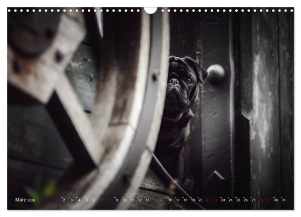 Produktbild: Diesels Welt (Wandkalender 2026 DIN A3 quer), CALVENDO Monatskalender
