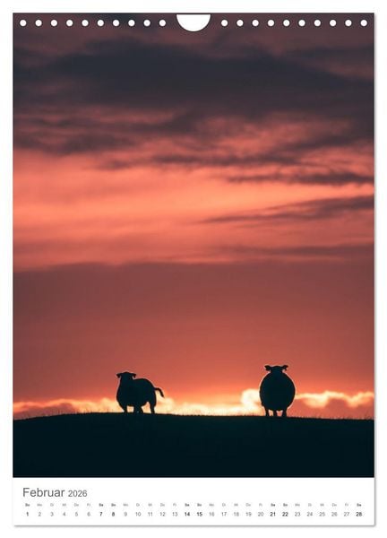 Produktbild: Die Lofoten &ndash; Landschaftsfotografien aus Nordnorwegen (Wandkalender 2026 DIN A4 hoch), CALVENDO Monatskalender