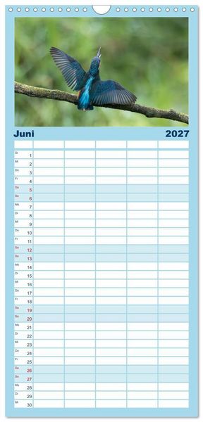 Produktbild: Familienplaner 2027 - Alcedo atthis. Der Eisvogel mit 5 Spalten (Wandkalender, 21 x 45 cm) CALVENDO