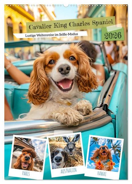 Cavalier King Charles Spaniel - Lustige Weltenreise im Selfie-Modus (Wandkalender 2026 DIN A2 hoch), CALVENDO Monatskalender