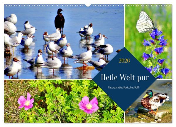 Heile Welt pur - Naturparadies Kurisches Haff (Wandkalender 2026 DIN A2 quer), CALVENDO Monatskalender