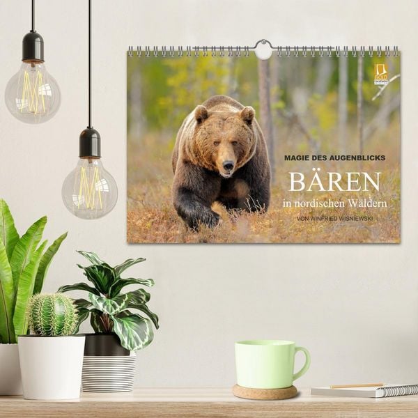 Produktbild: Magie des Augenblicks - B&auml;ren in nordischen W&auml;ldern (Wandkalender 2026 DIN A4 quer), CALVENDO Monatskalender