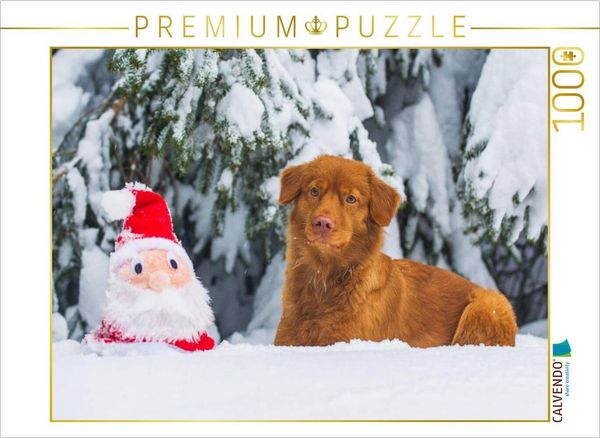 CALVENDO Puzzle Nova Scotia Duck Tolling Retriever Weihnachten | 1000 Teile Lege-Größe 64x48cm Foto-Puzzle für glückliche Stunden