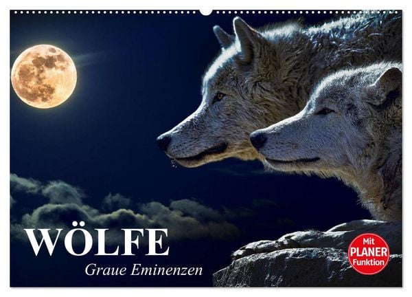Produktbild: W&ouml;lfe. Graue Eminenzen (Wandkalender 2026 DIN A2 quer), CALVENDO Monatskalender
