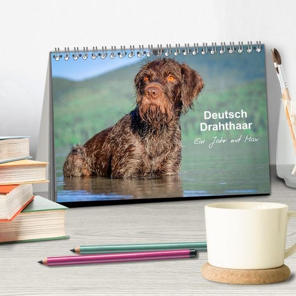 Produktbild: Deutsch Drahthaar - Ein Jahr mit Max (Tischkalender 2026 DIN A5 quer), CALVENDO Monatskalender