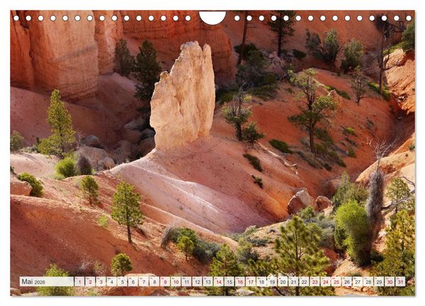 Produktbild: Bryce Canyon, Wunder der Natur (Wandkalender 2026 DIN A4 quer), CALVENDO Monatskalender