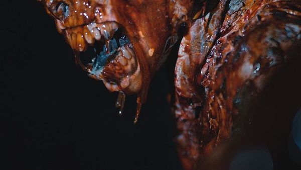 Produktbild: Death House