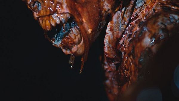 Produktbild: Death House (+ Bonus-DVD)