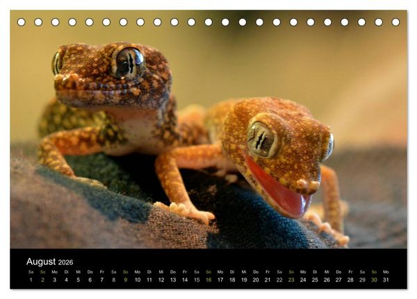 Produktbild: Reptilien (Tischkalender 2026 DIN A5 quer), CALVENDO Monatskalender