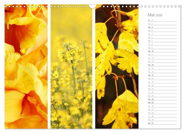 Produktbild: Nat&uuml;rlicher Dreiklang (Wandkalender 2026 DIN A3 quer), CALVENDO Monatskalender