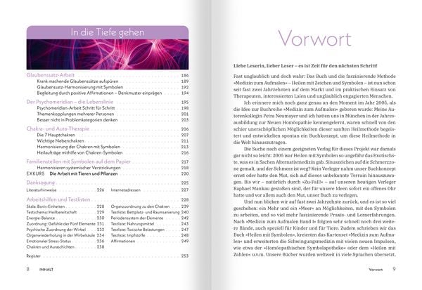 Produktbild: Medizin zum Aufmalen: Heilen mit Zeichen und Symbolen. Das Basisbuch Neue Hom&ouml;opathie