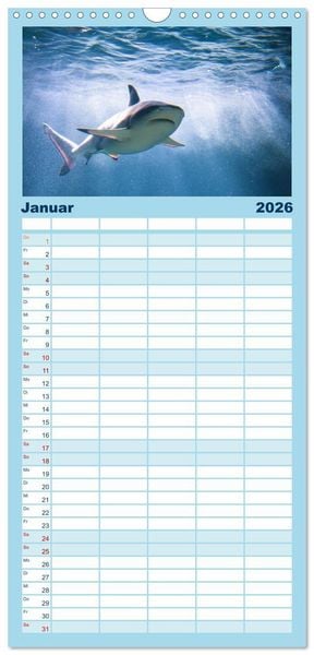 Produktbild: Familienplaner 2026 - Haie - K&ouml;nige der Meere. mit 5 Spalten (Wandkalender, 21 x 45 cm) CALVENDO